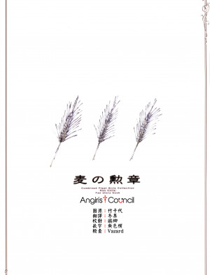 [Angiris Council漢化组] (砲雷撃戦!よーい!三十八戦目) [一環屋 (ハジメ)] 麦の勲章 (艦隊これくしょん -艦これ-)